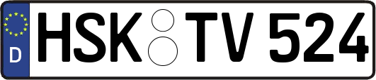 HSK-TV524