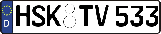 HSK-TV533