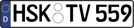 HSK-TV559