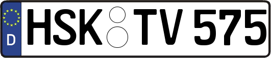 HSK-TV575