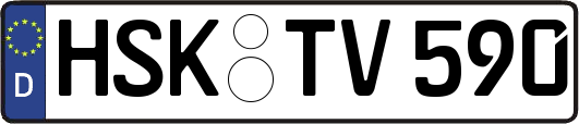 HSK-TV590