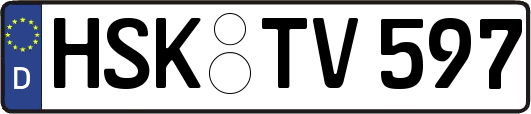 HSK-TV597