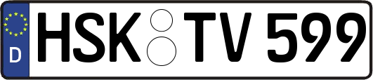 HSK-TV599