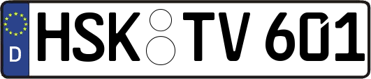 HSK-TV601