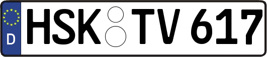 HSK-TV617