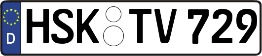 HSK-TV729