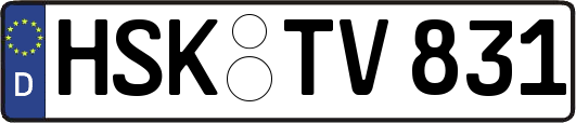 HSK-TV831