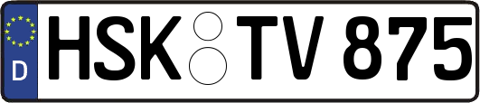 HSK-TV875