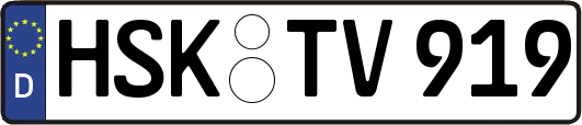HSK-TV919