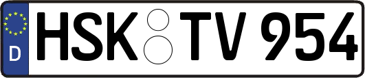 HSK-TV954