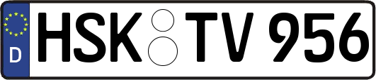 HSK-TV956