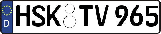 HSK-TV965