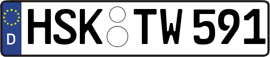 HSK-TW591