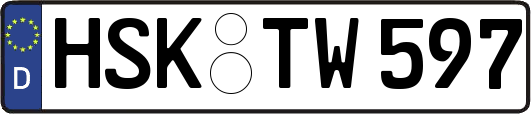 HSK-TW597