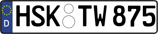 HSK-TW875