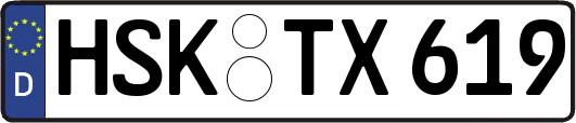HSK-TX619