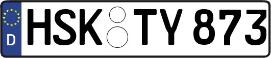 HSK-TY873