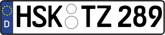 HSK-TZ289