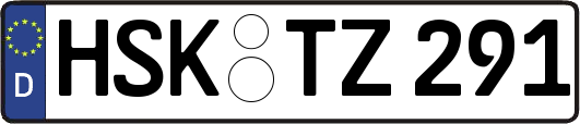 HSK-TZ291