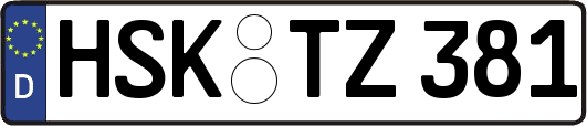 HSK-TZ381