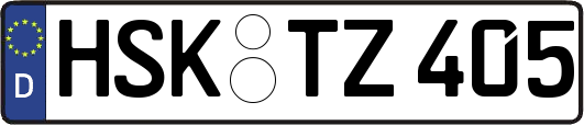 HSK-TZ405