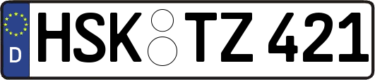 HSK-TZ421