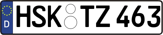 HSK-TZ463