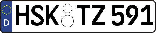 HSK-TZ591