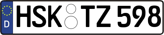 HSK-TZ598