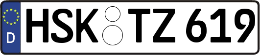 HSK-TZ619