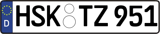 HSK-TZ951