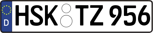 HSK-TZ956