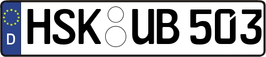 HSK-UB503