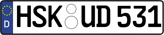 HSK-UD531