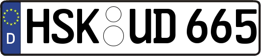 HSK-UD665