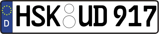 HSK-UD917