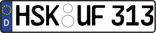 HSK-UF313