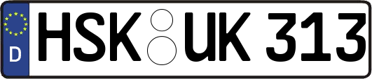 HSK-UK313