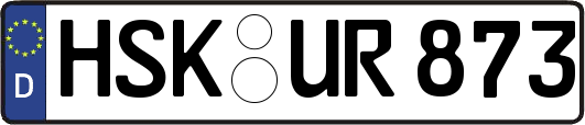 HSK-UR873