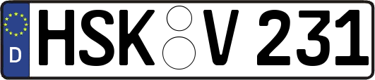 HSK-V231