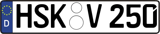HSK-V250