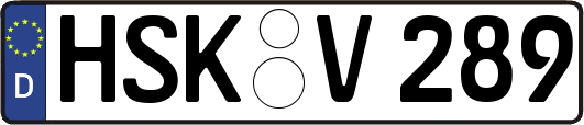 HSK-V289