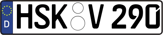 HSK-V290