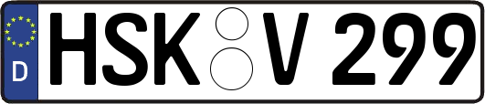 HSK-V299