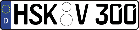 HSK-V300