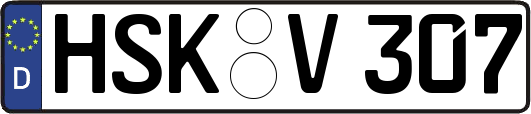 HSK-V307