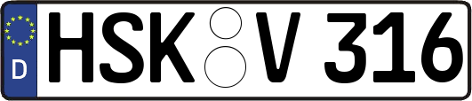 HSK-V316