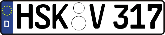 HSK-V317