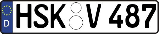 HSK-V487