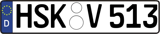 HSK-V513